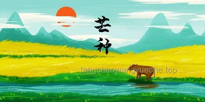 今日芒种如何科学农耕，应对气候变化